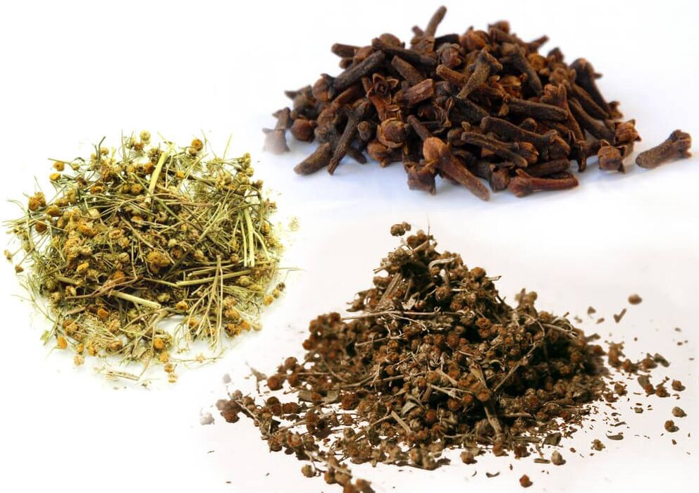 Pelin, tansy și cuișoare pentru a scăpa de paraziți