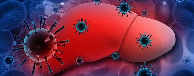 Prezența paraziților în organism duce la hepatită