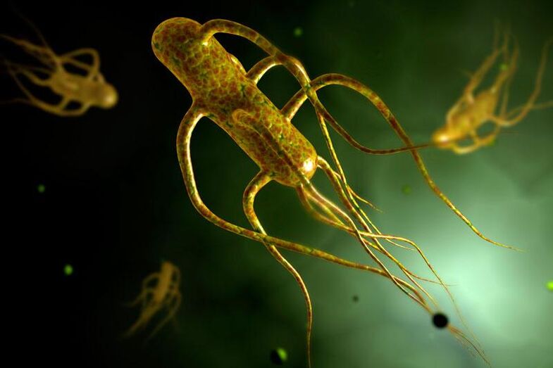 Salmonella trăiește în intestinul uman